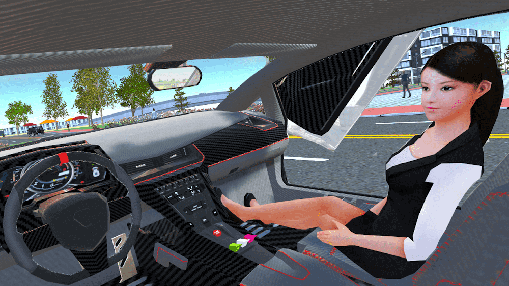 car simulator 2 6